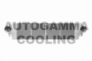 Теплообменник AUTOGAMMA 103652
