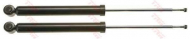 Амортизатор TRW JGT555T
