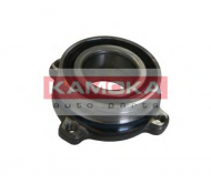 Комплект подшипника KAMOKA 5500052