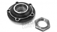 Комплект подшипника BREDA  LORETT CR 2532