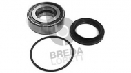 Комплект подшипника BREDA  LORETT CR 2678