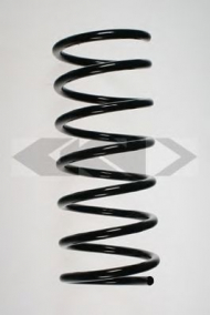 Пружина SPIDAN 55518