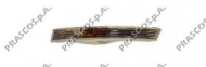 Фонарь PRASCO VW0544324