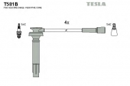 Комплект электропроводки TESLA T581B