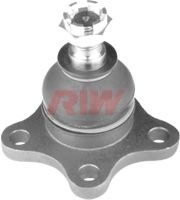 Шарнир RIW FO1023