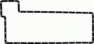Прокладкa REINZ 71-25113-10