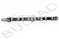 Вал BUGIAD BSP22281
