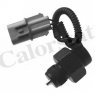 Переключатель CALORSTAT by Vernet RS5658