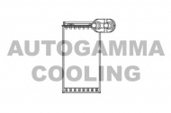 Теплообменник AUTOGAMMA 103329