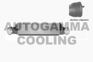 Теплообменник AUTOGAMMA 103823