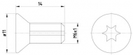 Болт PAGID TPM0012