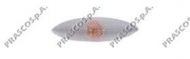 Фонарь PRASCO TY3204041