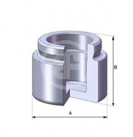 Поршень AUTOFREN SEINSA D02524