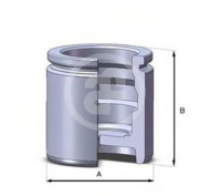 Поршень AUTOFREN SEINSA D02544