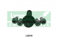 Комплект болтов LUCAS ENGINE DRIVE LS019