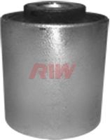 Подвеска RIW AU11004