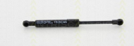 Газовая пружина TRISCAN 8710 20106