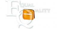 Фонарь EQUAL QUALITY FL0076