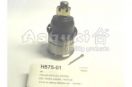Шарнир ASHUKI H575-01