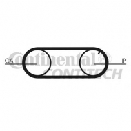 Ремень CONTITECH CT641
