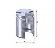 Поршень AUTOFREN SEINSA D02525