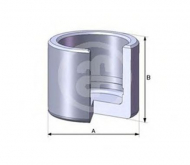 Поршень AUTOFREN SEINSA D02528