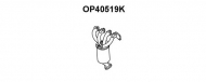 Катализатор VENEPORTE OP40519K