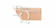 Фонарь EQUAL QUALITY FL0127