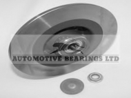 Комплект подшипника Automotive Bearings ABK838