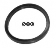 Прокладкa STC T402351