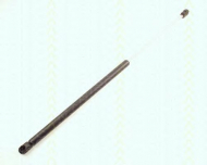 Газовая пружина TRISCAN 8710 16204