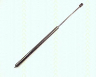 Газовая пружина TRISCAN 8710 23105