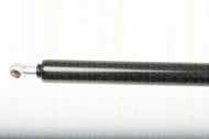 Газовая пружина TRISCAN 8710 25242