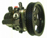 Насос TRISCAN 8515 38600