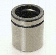 Поршень TRISCAN 8170 234854