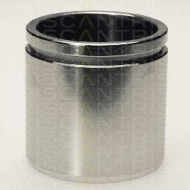 Поршень TRISCAN 8170 235419