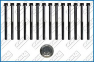 Комплект болтов AJUSA 81032600