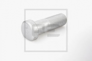 Болт PE Automotive 017.146-00A