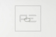 Уплотняющее кольцо PE Automotive 031.157-00A