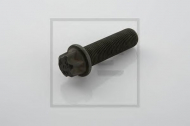 Болт PE Automotive 036.129-00A