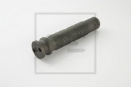 Болт PE Automotive 144.060-00A