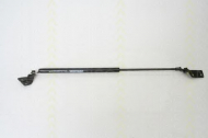 Газовая пружина TRISCAN 8710 69223