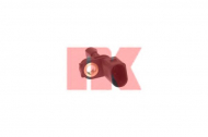 Датчик NK 294743