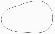 Прокладкa REINZ 40-76723-00