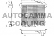 Теплообменник AUTOGAMMA 100248
