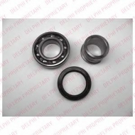 Комплект подшипника DELPHI BK1480
