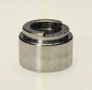 Поршень TRISCAN 8170 234002