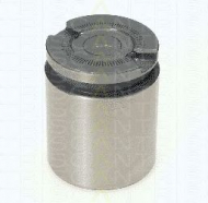 Поршень TRISCAN 8170 234101