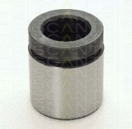 Поршень TRISCAN 8170 234219