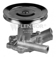 Насос FLENNOR FWP70296